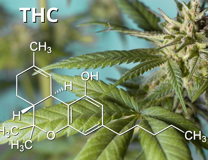THC